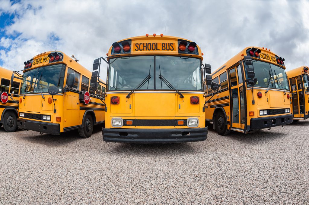 School buses parked in a parking lot